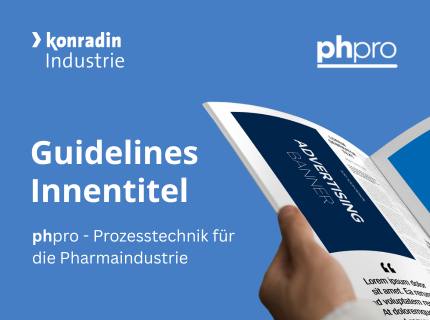 Guidelines phpro Innentitel